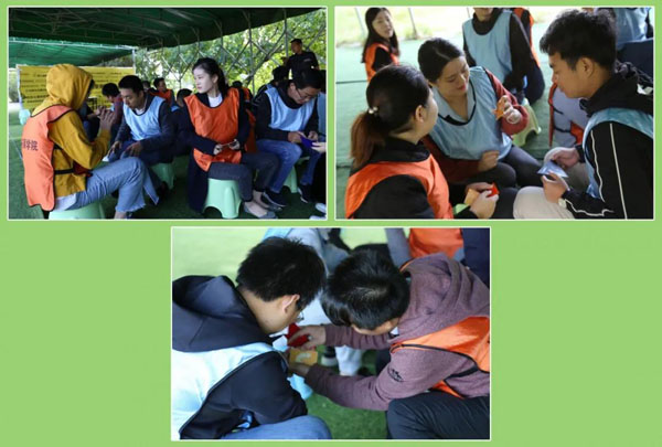 世博体育新能源_厚积薄发_赢胜2021(图16)