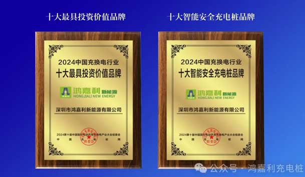 匠心致远，载誉前行：2024年世博体育新能源荣获充换电十大品牌奖！(图5)